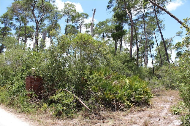Anderson St, Deltona, FL 32725 - photo 5
