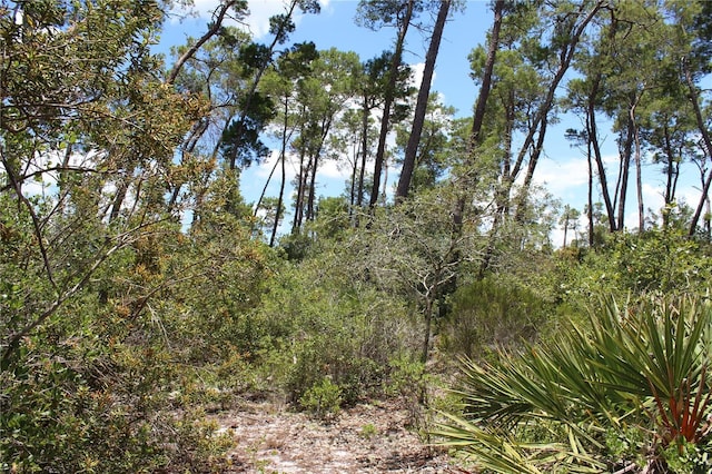 Anderson St, Deltona, FL 32725 - photo 8