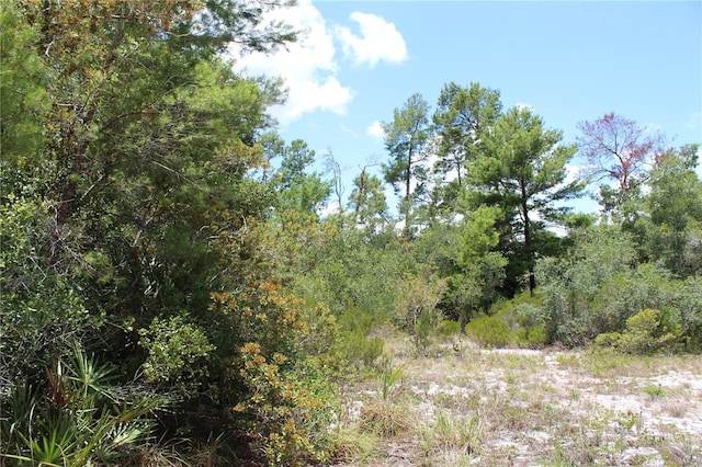 Anderson St, Deltona, FL 32725 - photo 9