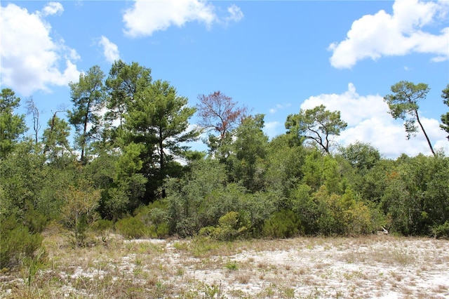 Anderson St, Deltona, FL 32725 - photo 10
