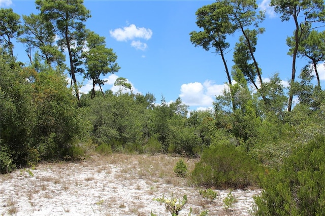 Anderson St, Deltona, FL 32725 - photo 12