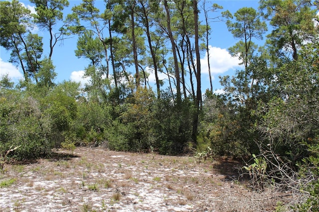 Anderson St, Deltona, FL 32725 - photo 13