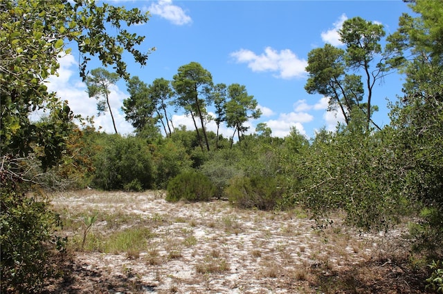 Anderson St, Deltona, FL 32725 - photo 14