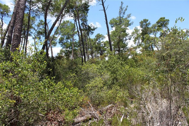 Anderson St, Deltona, FL 32725 - photo 20