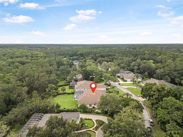 19 Tomoka Cove Way, Ormond Beach, FL 32174 - aerial view of a forest