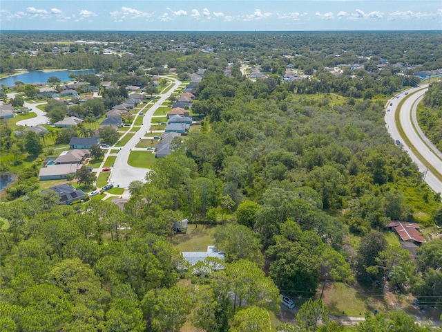 453 Elizabeth St, Deltona, FL 32725 - photo 49