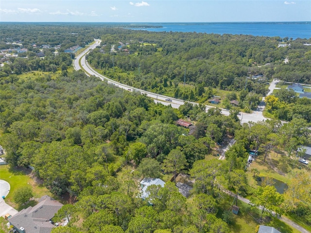 453 Elizabeth St, Deltona, FL 32725 - photo 50