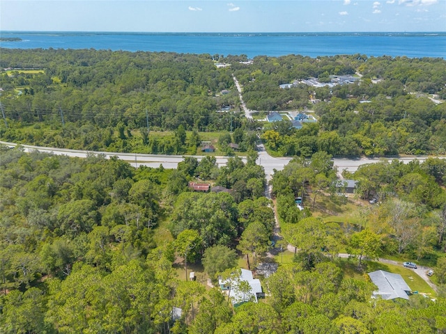 453 Elizabeth St, Deltona, FL 32725 - photo 51