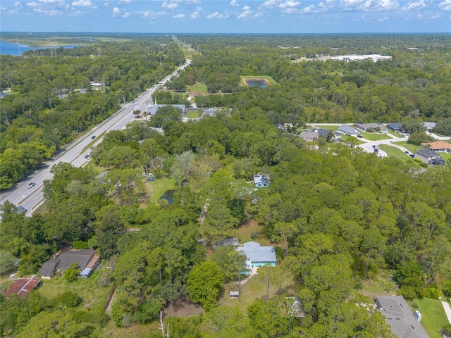 453 Elizabeth St, Deltona, FL 32725 - photo 53