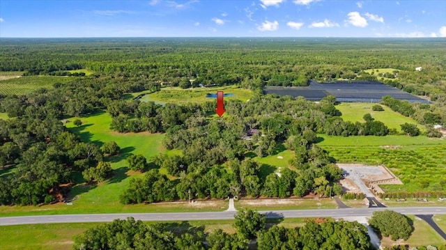 4885 State Road 11, De Leon Springs, FL 32130 - drone / aerial view of a heavily wooded area