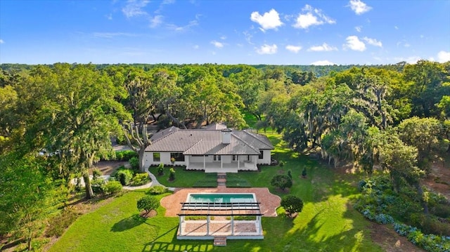 4885 State Road 11, De Leon Springs, FL 32130 - aerial view of property and surrounding area featuring a pool and a forest