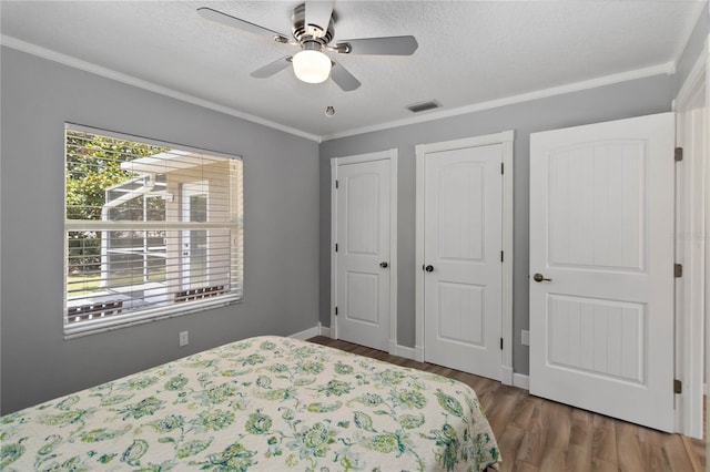 5 Bird Of Paradise Pl, Palm Coast, FL 32137 - bedroom with wood finished floors, crown molding, two closets, ceiling fan, and a textured ceiling