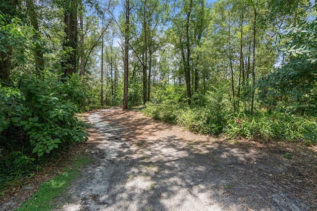 2 E Kelly Park Rd, Apopka, FL 32712 - photo 46