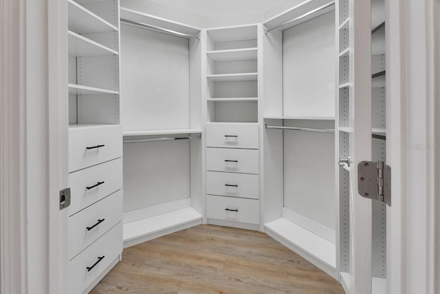 424 Luna Bella Ln Unit 330, New Smyrna Beach, FL 32168 - walk in closet featuring light wood-style floors