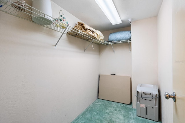2545 S Atlantic Ave Unit 102, Daytona Beach Shores, FL 32118 - walk in closet with carpet floors