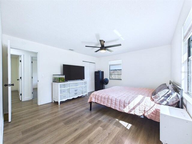2526 Victory Palm Dr, Edgewater, FL 32141 - bedroom featuring wood finished floors, multiple windows, and a ceiling fan