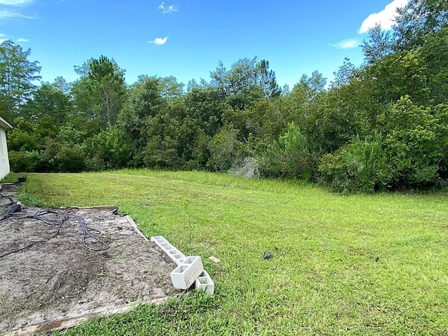 19320 Oberly Pkwy, Orlando, FL 32833 - view of green lawn