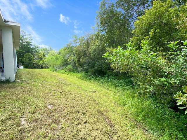 19320 Oberly Pkwy, Orlando, FL 32833 - view of green lawn