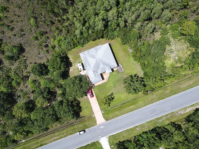 19320 Oberly Pkwy, Orlando, FL 32833 - aerial view of property's location