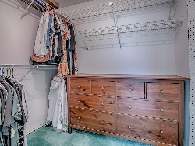 5936 Boggs Ford Rd, Port Orange, FL 32127 - spacious closet featuring carpet flooring