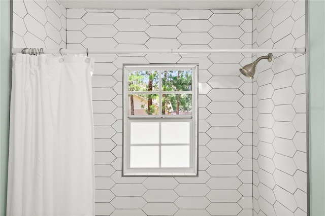 2455 Whooping Crane Dr, De Leon Springs, FL 32130 - full bathroom with a stall shower