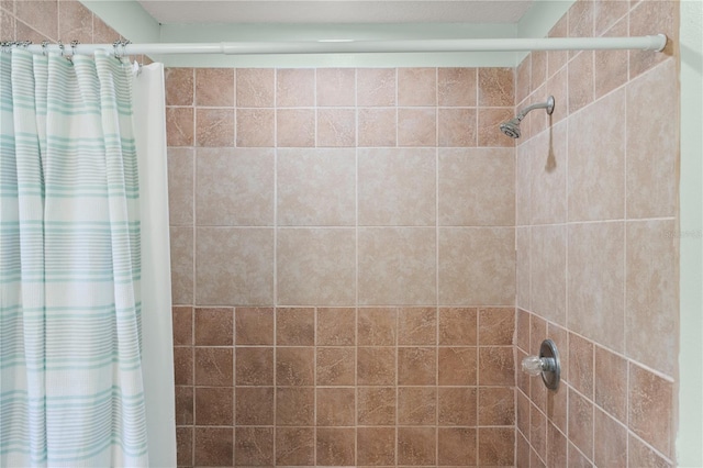 2455 Whooping Crane Dr, De Leon Springs, FL 32130 - full bath featuring tiled shower