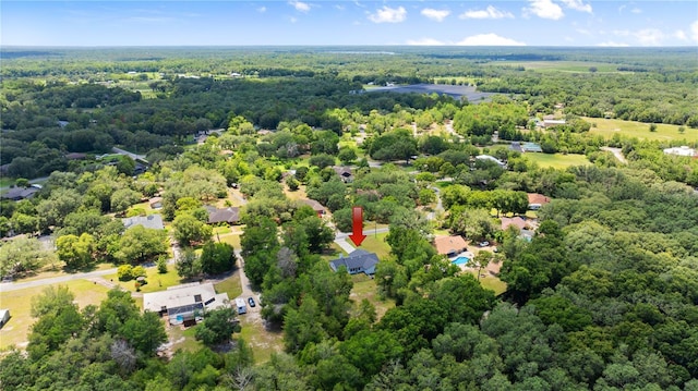 2455 Whooping Crane Dr, De Leon Springs, FL 32130 - drone / aerial view of a forest