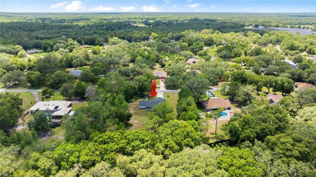 2455 Whooping Crane Dr, De Leon Springs, FL 32130 - aerial view of a forest