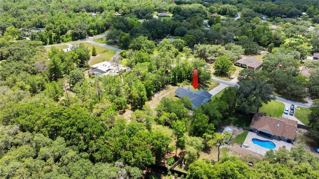 2455 Whooping Crane Dr, De Leon Springs, FL 32130 - bird's eye view of a pool and a heavily wooded area
