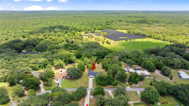 2455 Whooping Crane Dr, De Leon Springs, FL 32130 - aerial view of a heavily wooded area