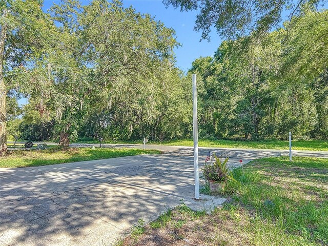 28432 Tammi Dr, Tavares, FL 32778 - photo 8