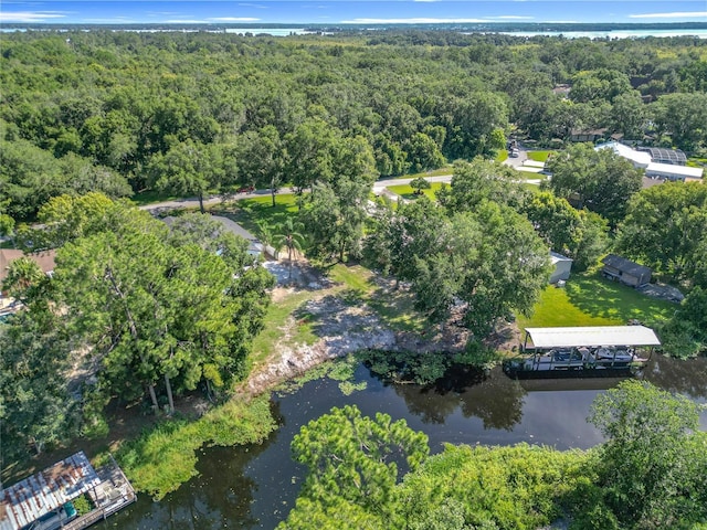 28432 Tammi Dr, Tavares, FL 32778 - photo 62