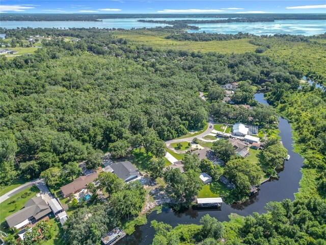 28432 Tammi Dr, Tavares, FL 32778 - photo 65