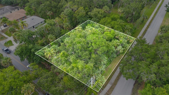 Milford Pl, New Smyrna Beach, FL 32168 - photo 1
