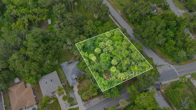 Milford Pl, New Smyrna Beach, FL 32168 - photo 3