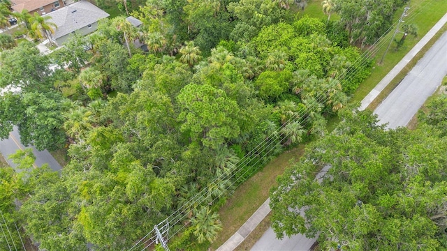 Milford Pl, New Smyrna Beach, FL 32168 - photo 6