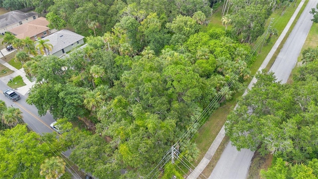 Milford Pl, New Smyrna Beach, FL 32168 - photo 7