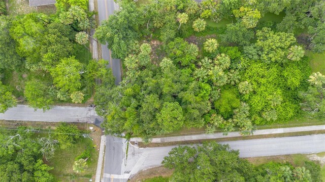 Milford Pl, New Smyrna Beach, FL 32168 - photo 11