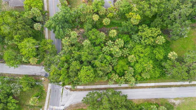 Milford Pl, New Smyrna Beach, FL 32168 - photo 12