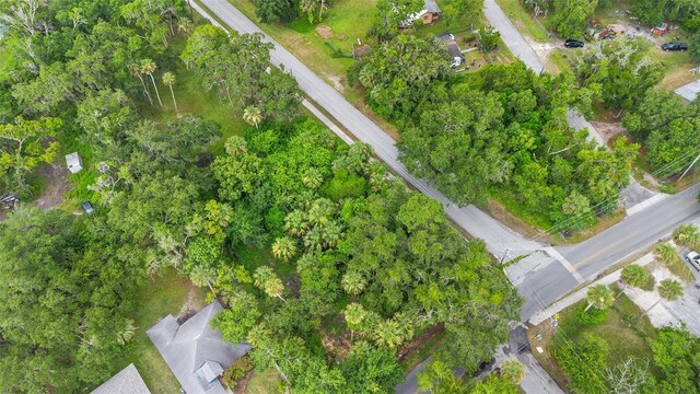 Milford Pl, New Smyrna Beach, FL 32168 - photo 16