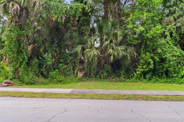 Milford Pl, New Smyrna Beach, FL 32168 - photo 21