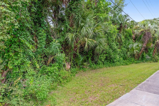 Milford Pl, New Smyrna Beach, FL 32168 - photo 22
