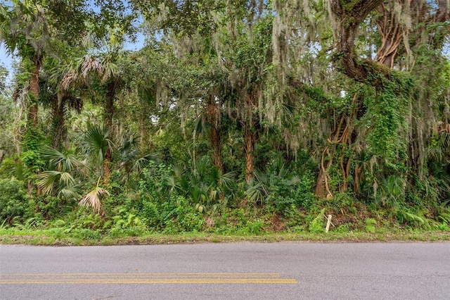 Milford Pl, New Smyrna Beach, FL 32168 - photo 23