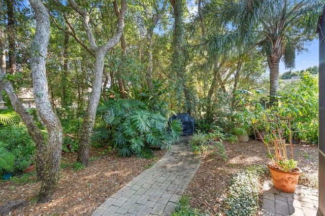 319 Secretariat Ct, Deland, FL 32724 - photo 32