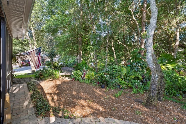 319 Secretariat Ct, Deland, FL 32724 - photo 33