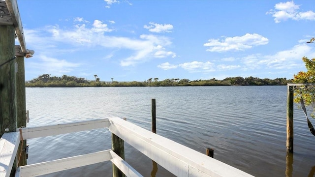 3110 John Anderson Dr, Ormond Beach, FL 32176 - photo 52