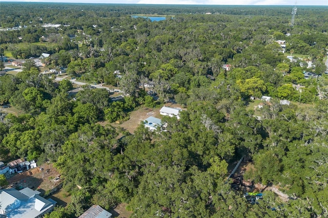 206 Winslow Ave, Deland, FL 32724 - photo 52