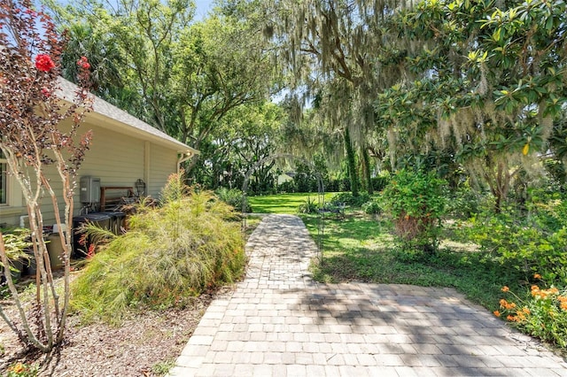 1310 Natureland Ct, Mount Dora, FL 32757 - photo 35