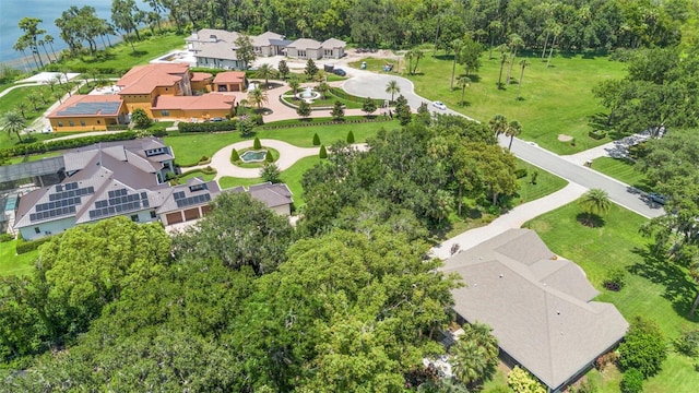 1310 Natureland Ct, Mount Dora, FL 32757 - photo 43