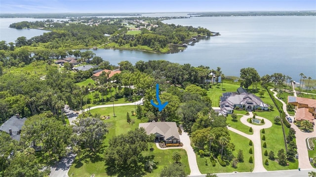 1310 Natureland Ct, Mount Dora, FL 32757 - photo 46